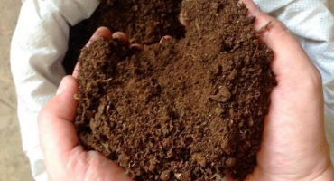 Kyselost a použití nízko položené rašeliny, odlišnosti od rašeliny vysokohorské a co je lepší